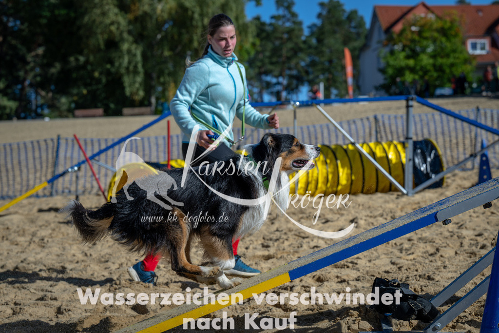 1129_ZZ91296 | kk-dogfotos