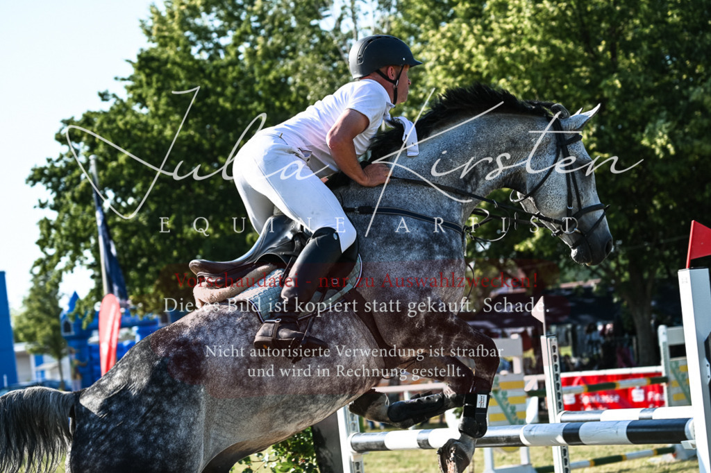DSC_2650 | Pferde- und Turnierfotografie in Westsachsen. Pferdeportraits, Auftragszeichnungen und intuitive Kunst.