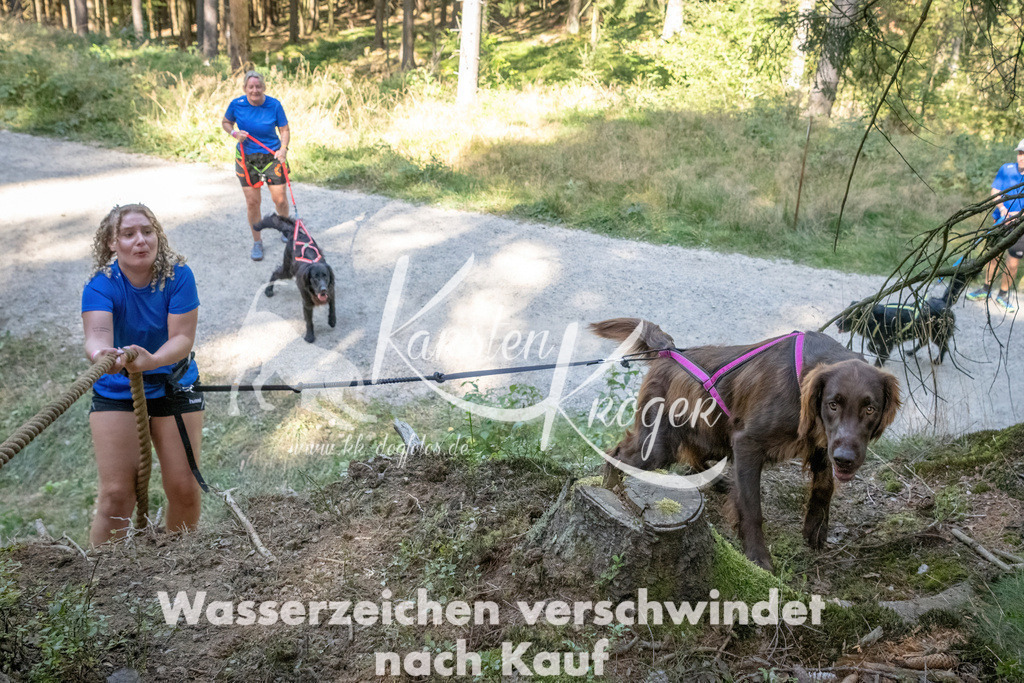 1216_ZZ93793 | kk-dogfotos