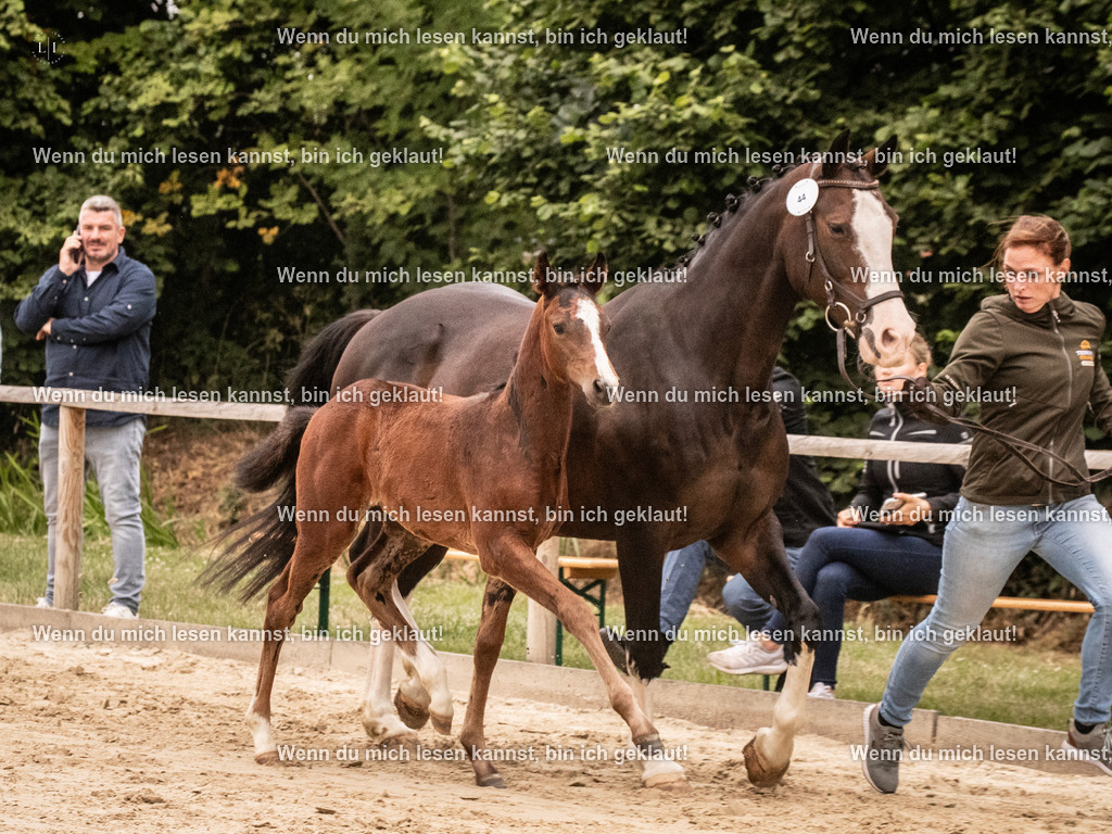 A10I4113 15.58.11 | photographylinaismer - Realisiert mit Pictrs.com