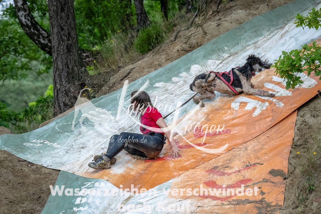 1248_ZZ90126-Bearbeitet-2 | kk-dogfotos