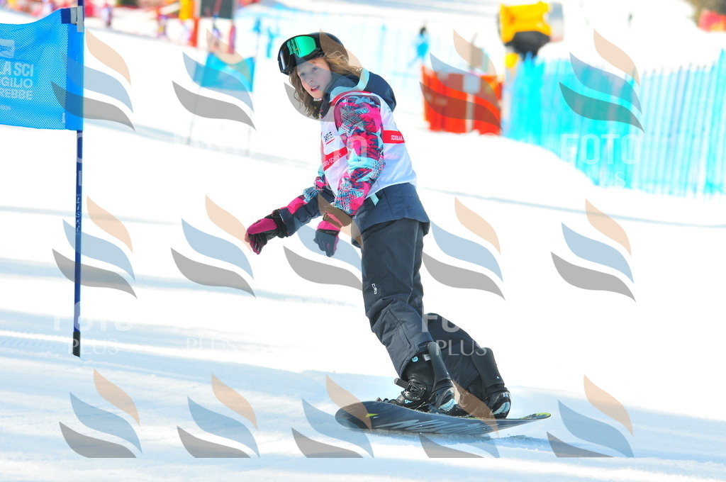 B8714 | holidayphoto