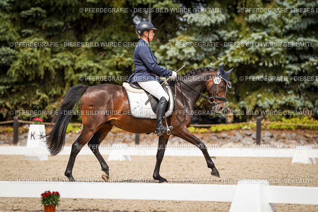 DSC04298 | Pferdegrafie