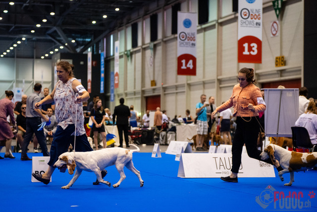World Dog Show | World Dog Show 2023 im Palexpo in Genf 23.08.2023 Foto: Leo Wyden