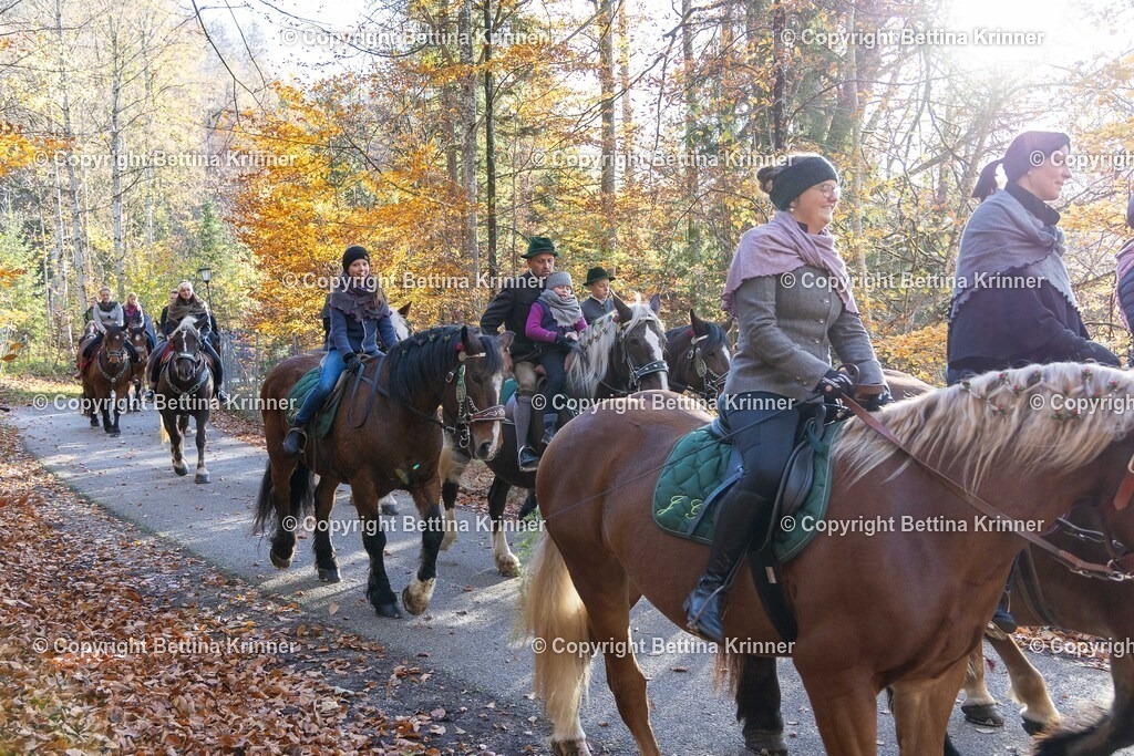 LL24-314 | foto-bettina-krinner - Realisiert mit Pictrs.com