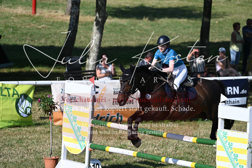 DSC_2379 | Pferde- und Turnierfotografie in Westsachsen. Pferdeportraits, Auftragszeichnungen und intuitive Kunst.