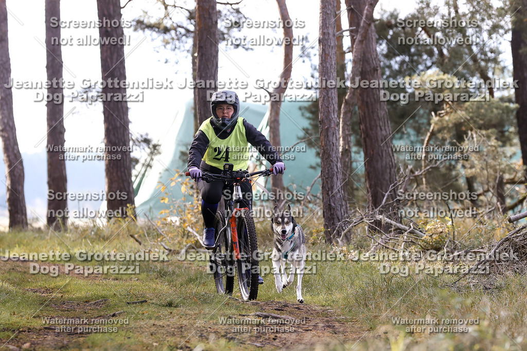 Dog Paparazzi - Elsholz 25 -111 | Dog Paparazzi Jeanette Grottendiek Fotografie & Videografie - Realisiert mit Pictrs.com