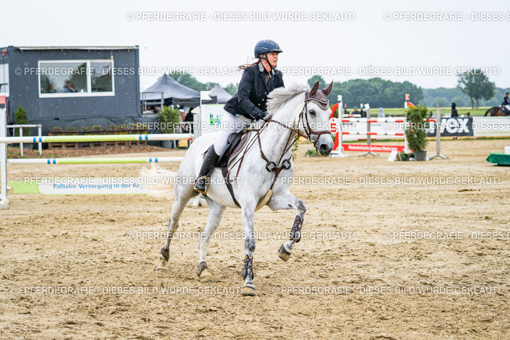 DSC08648 | Pferdegrafie