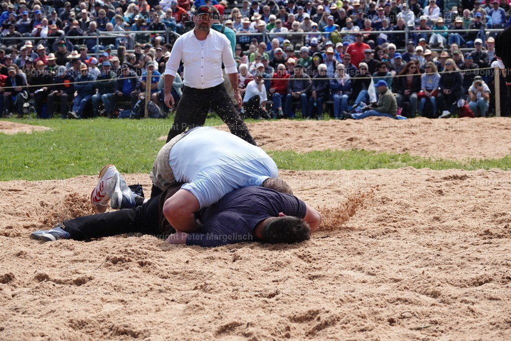 DSC00975 | Schwingen - Realisiert mit Pictrs.com