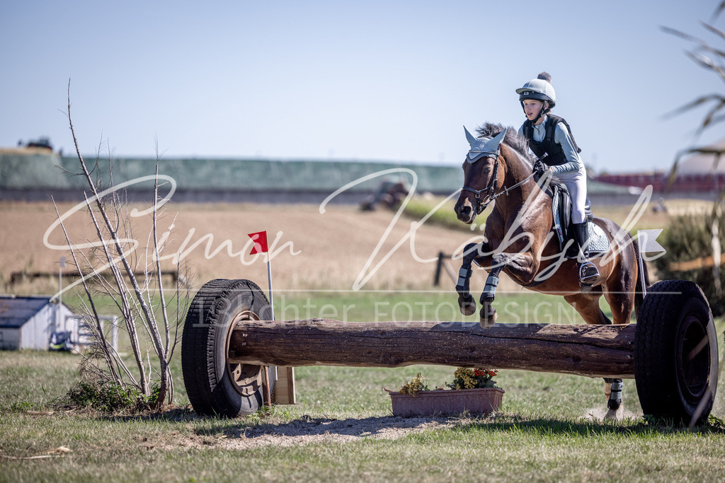 20260906-_3LI3474 | Tierfotografie Pferde, Hunde, Katzen, Haustiere.
Turnierfotografie Reitturniere, Reiten, Springreiten, Dressur in Hanau, dem Main-Kinzig-Kreis und dem Rhein-Main- Gebiet um Frankfurt