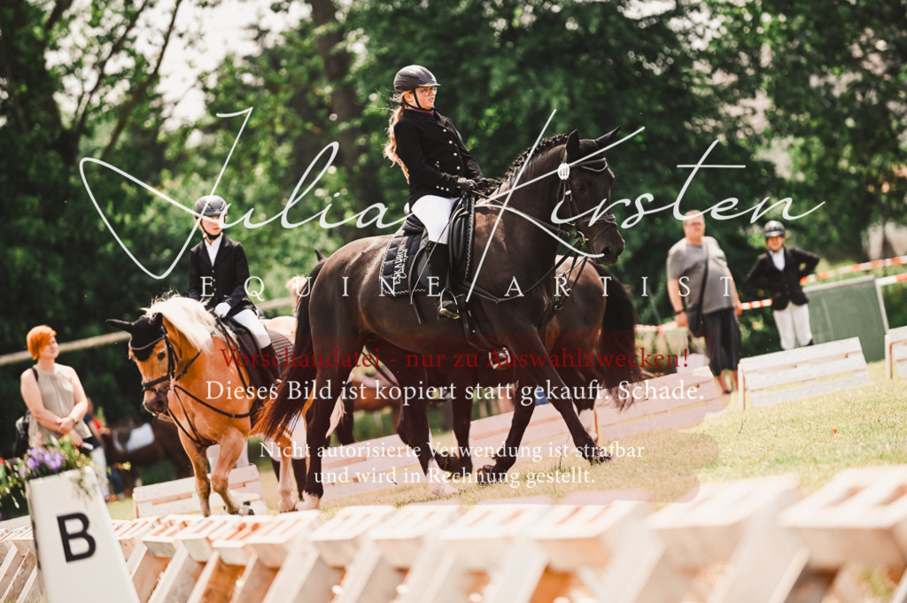 DSC_6183 | Pferde- und Turnierfotografie in Westsachsen. Pferdeportraits, Auftragszeichnungen und intuitive Kunst.