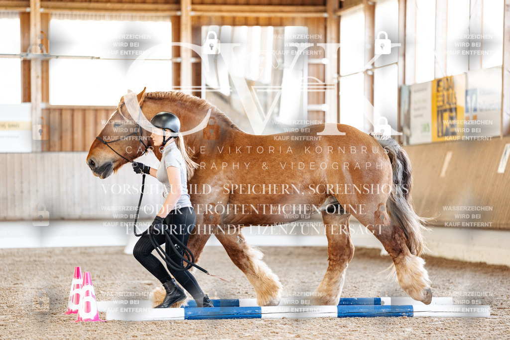 CK905425 | Turnierfotografie Pferdefotografie Trier Rheinland-Pfalz Pferdesport Reitsport Tierfotografie Sportfotografie Pferdevideo Pferdevideografie Equestrianvideography equestrianphotography  - Realisiert mit Pictrs.com