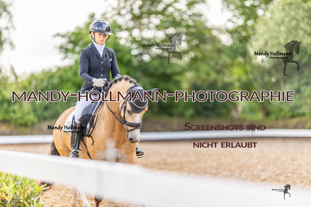RPF 4 Filsum (428 von 535) | mandyhollmannphotographie