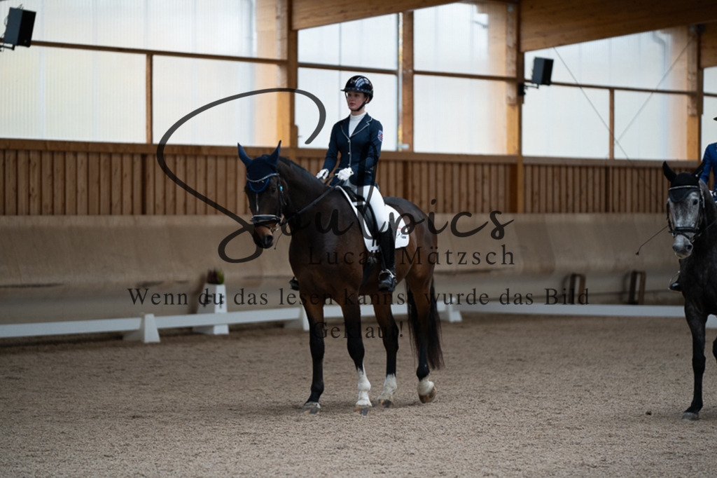 A7V02376 | Pferdefotograf