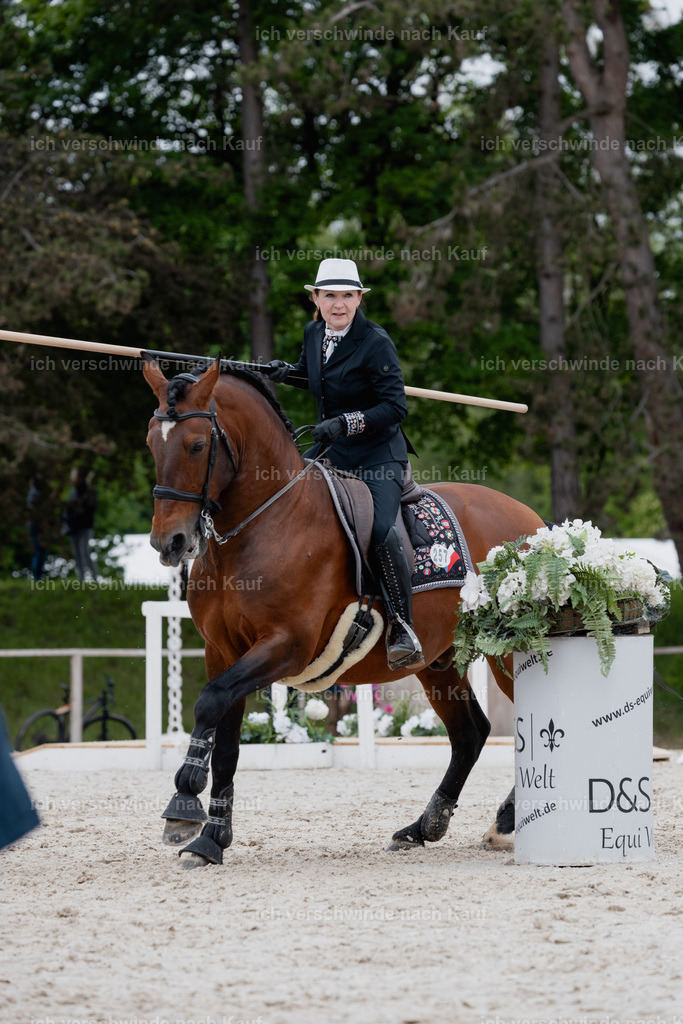 PI26_SP_StoibphotographyC2_C0923.jpg | working equitationturnier fotograf videograf stoibphotography marixx film working equitation deutschland reitsport turnierfotografie eventfotografie equestrian events