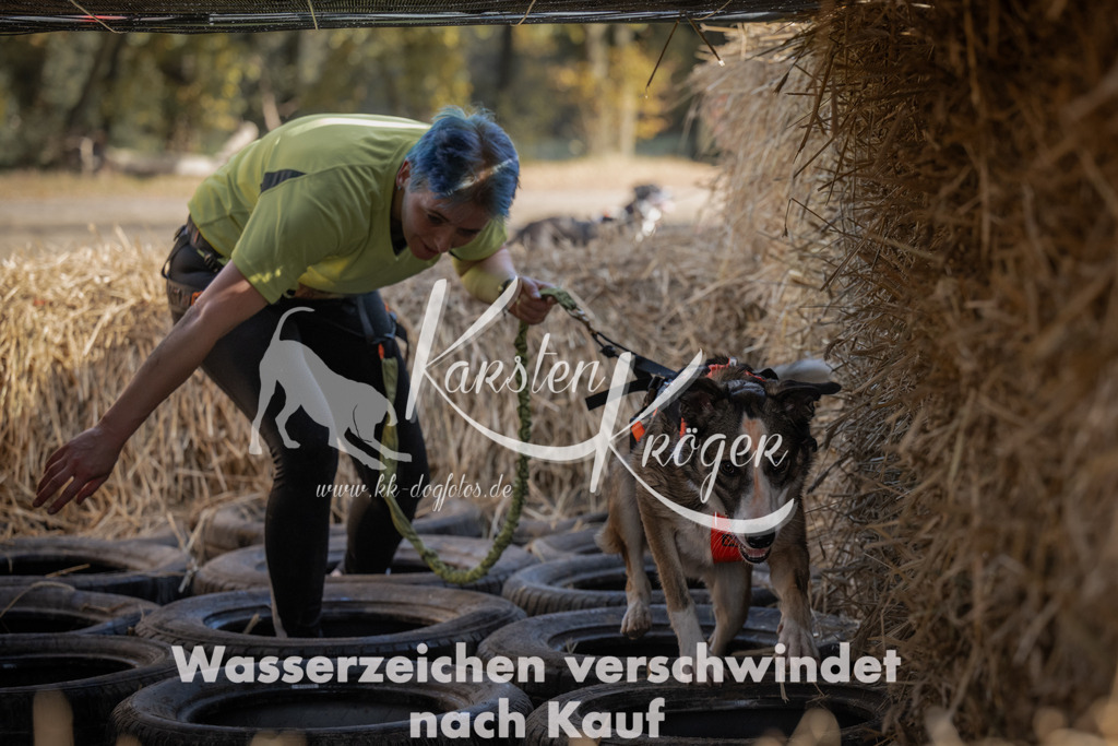 1137_ZZ92225 | kk-dogfotos