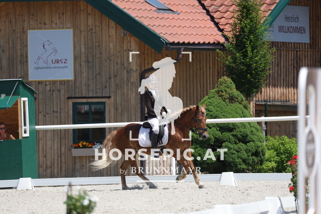 0P6A5792 | Willkommen bei Brunnmayr - Design & Fotografie – Ihrem Spezialisten für Reitturniere und Pferdeveranstaltungen in Oberösterreich, Salzburg und Bayern! Seit über 17 Jahren sind wir leidenschaftlich dabei.