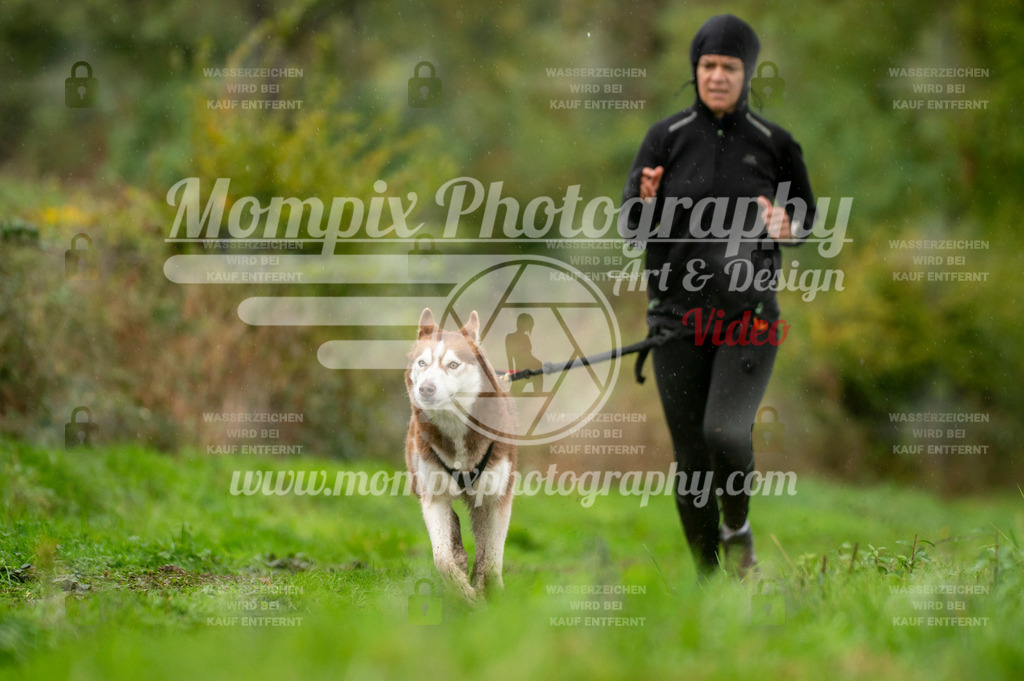 TSB_2023_E6_Canicross-196 | PayLife