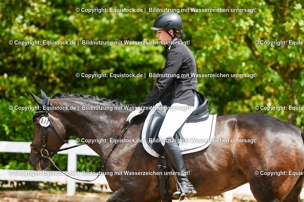 20230716_03_Dressurprfg. Kl.L - Tr._0590 | equistock