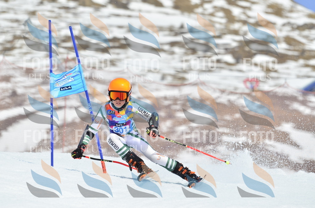 _ELE2193 | holidayphoto