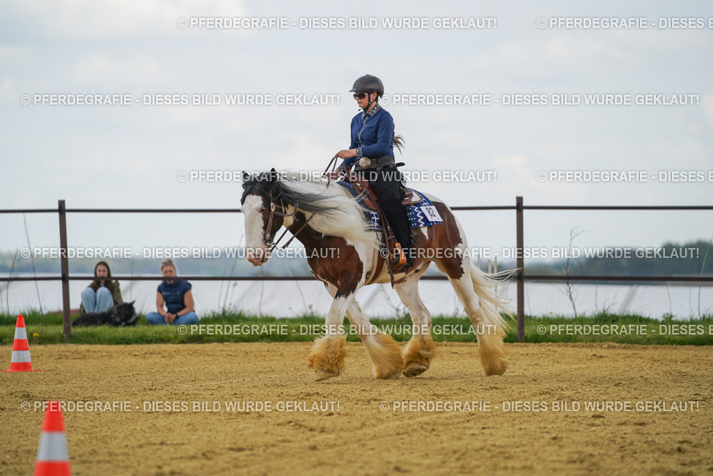 DSC06018 | Pferdegrafie