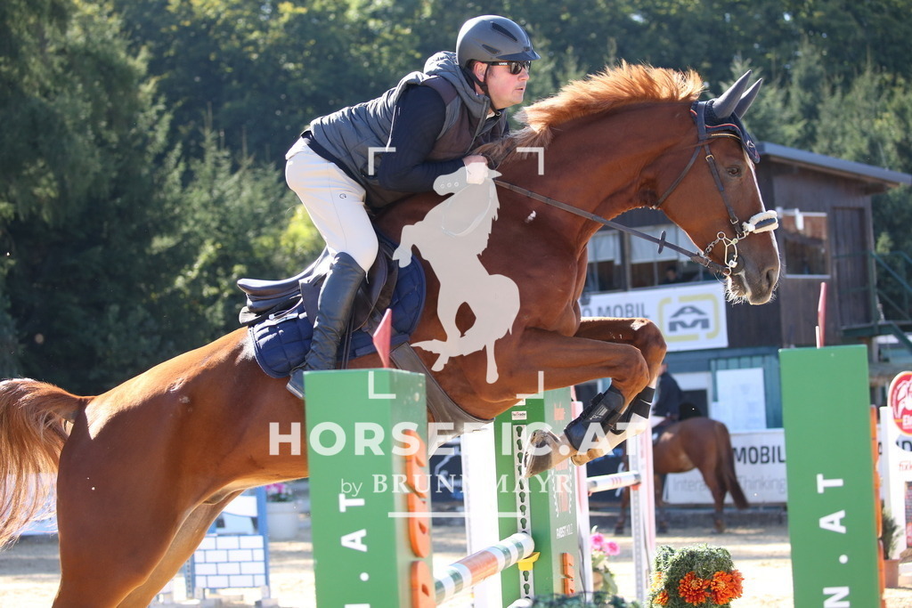 DL2Q3314 | Willkommen bei Brunnmayr - Design & Fotografie – Ihrem Spezialisten für Reitturniere und Pferdeveranstaltungen in Oberösterreich, Salzburg und Bayern! Seit über 17 Jahren sind wir leidenschaftlich dabei.