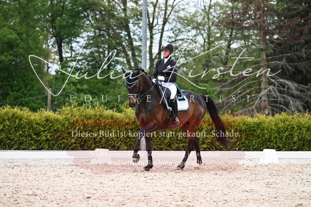 20230513_JK-Röhrsdorf-13-498 | Pferde- und Turnierfotografie in Westsachsen. Pferdeportraits, Auftragszeichnungen und intuitive Kunst.