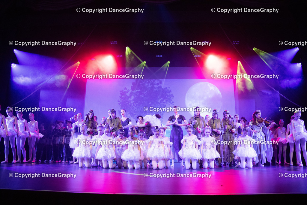 GPHY3431 | DanceGraphy - Realisiert mit Pictrs.com