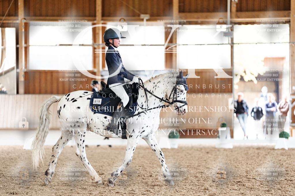 CK901430 | Turnierfotografie Pferdefotografie Trier Rheinland-Pfalz Pferdesport Reitsport Tierfotografie Sportfotografie Pferdevideo Pferdevideografie Equestrianvideography equestrianphotography  - Realisiert mit Pictrs.com