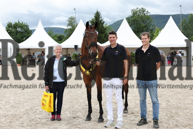 Verbandsstutenschau_Weilheim_2024_KN_43_Vitalia (27) | Alle Fotos der Reiterjournal Fotografin Doris Matthaes im Reiterjournal Online-Fotoshop. - Realisiert mit Pictrs.com