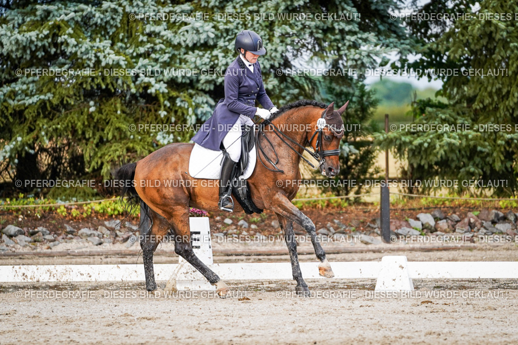 DSC00306 | Pferdegrafie