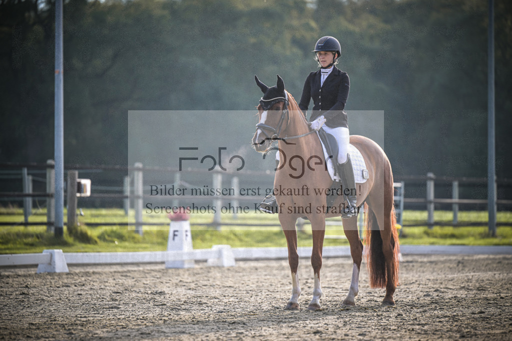 DOS_3462 | Entdecke hochwertige Reitturnierfotos von Foto Oger. Professionell, emotional und authentisch – jetzt Lieblingsmomente im Shop bestellen.Deutschlandweite Turnierfotografie. - Realisiert mit Pictrs.com
