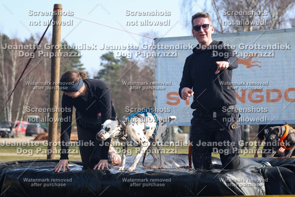 Dog Paparazzi - Strongdog North Mrz26-1373 | Dog Paparazzi Jeanette Grottendiek Fotografie & Videografie - Realisiert mit Pictrs.com
