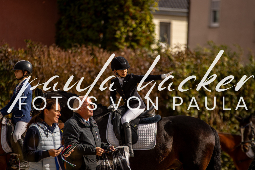 IMG_3807 | Erleben Sie dynamische Sport- und emotionale Tierfotografie in Süddeutschland mit Fotos von Paula. Spezialisiert auf Pferde- und Hundefotografie sowie Sportevents. Kontaktieren Sie mich für einzigartige und ausdrucksstarke Bilder Ihrer besonderen Momente. - Realisiert mit Pictrs.com