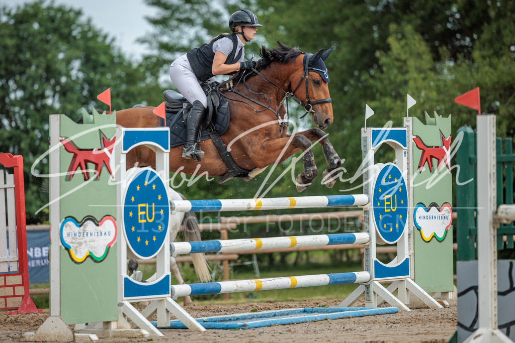 20260530-_3LI2684 | Tierfotografie Pferde, Hunde, Katzen, Haustiere.
Turnierfotografie Reitturniere, Reiten, Springreiten, Dressur in Hanau, dem Main-Kinzig-Kreis und dem Rhein-Main- Gebiet um Frankfurt