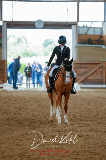 _62_6015 | Turniersportfotografie; Pferdefotografie; Dressurfotografie