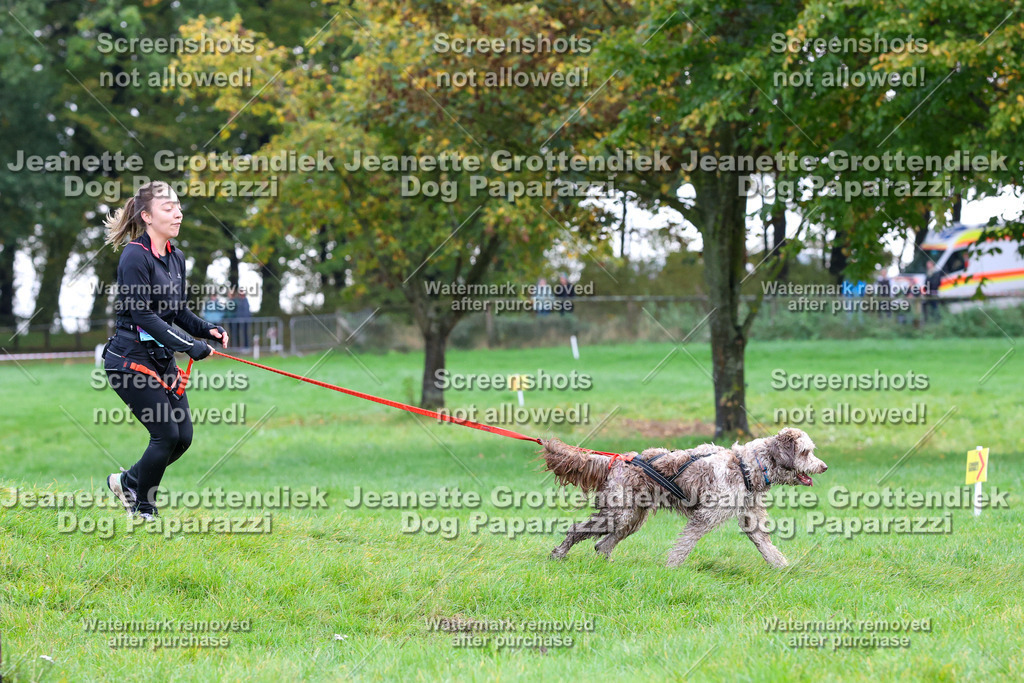 Dog Paparazzi -  SD1026-2083 | Dog Paparazzi Jeanette Grottendiek Fotografie & Videografie - Realisiert mit Pictrs.com