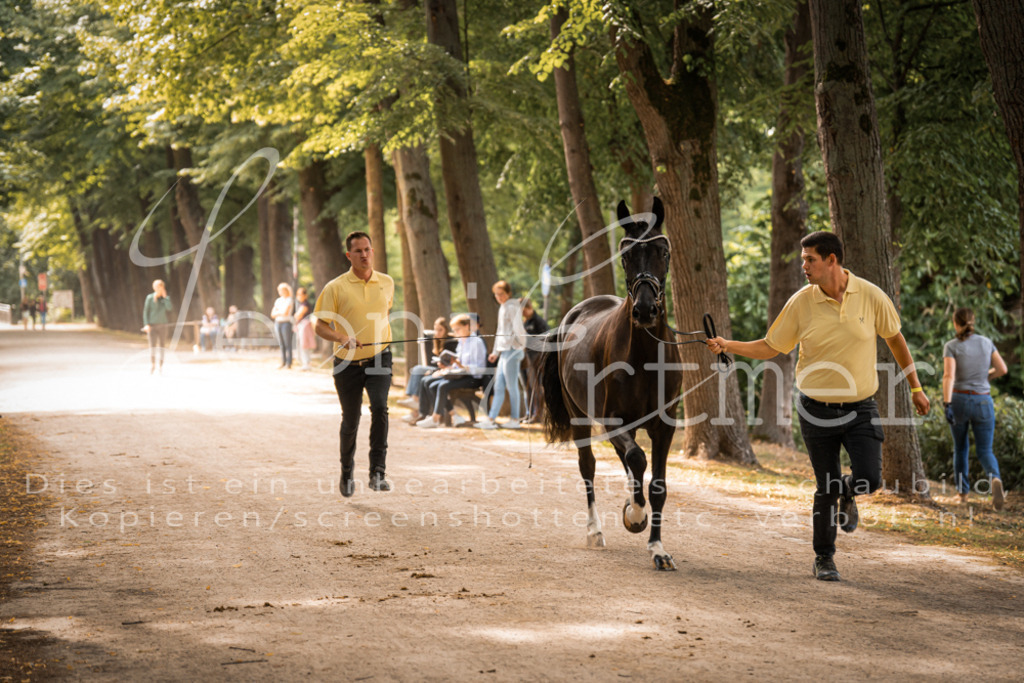 FrPfM00078 | Leoni Ertmer Photography - Realisiert mit Pictrs.com