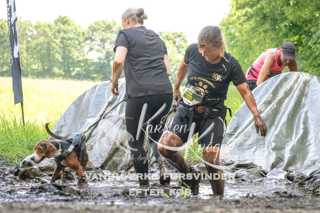 1200_ZZ90879 | kk-dogfotos