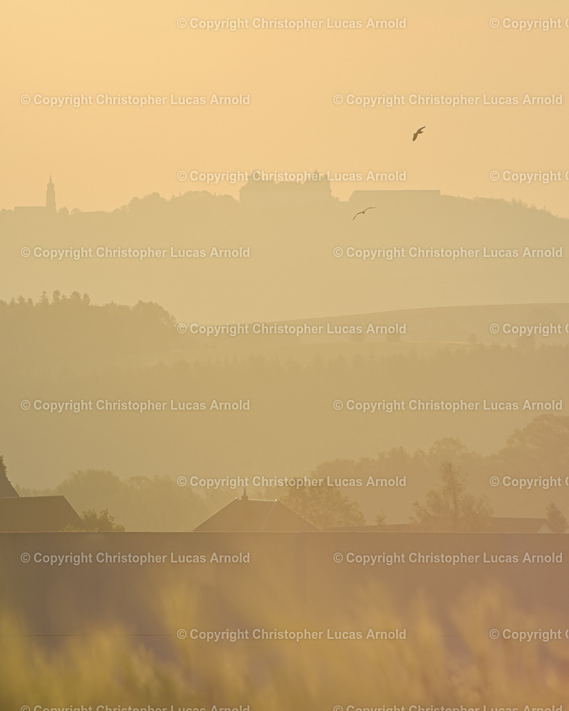 DSC_0682-Bearbeitet | bildkomponist - Realisiert mit Pictrs.com