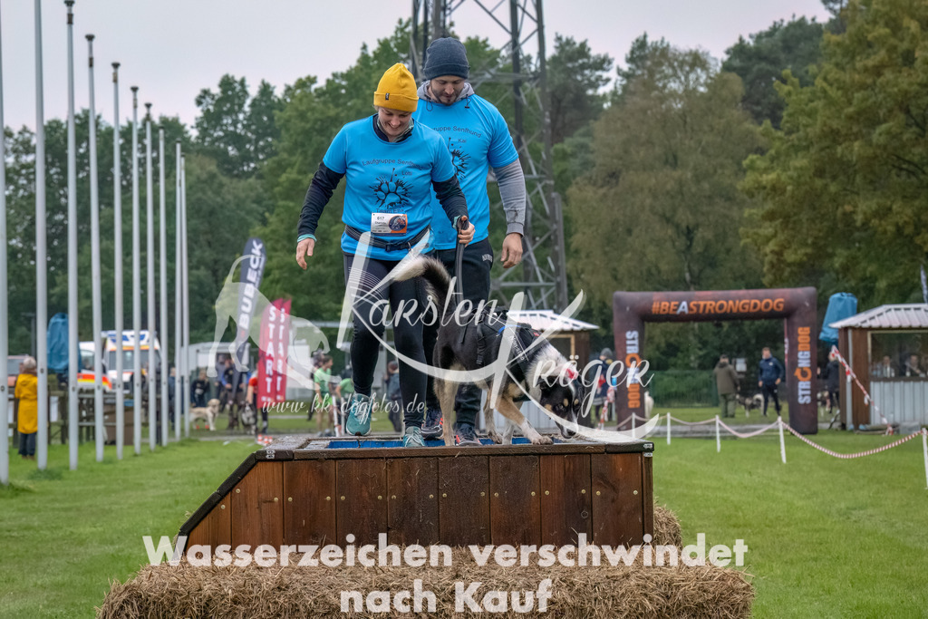 1219--6 | kk-dogfotos