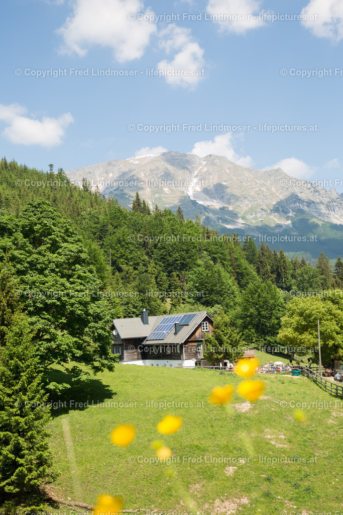 Otscher  (7) | Fotos und Fotoprodukte - Realisiert mit Pictrs.com