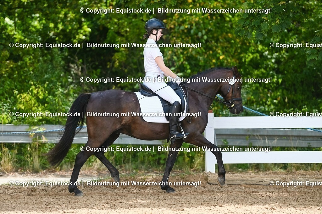 20230715_09_Dressur-WB_0211 | equistock