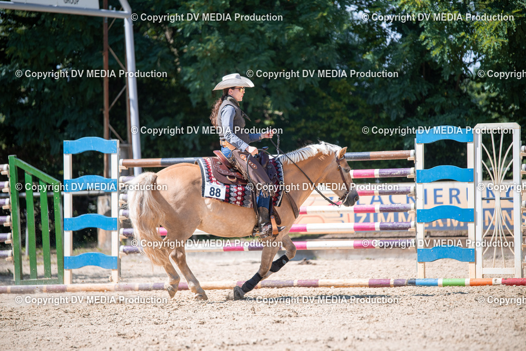 ZS1_1547 | dv-media-shop - Realisiert mit Pictrs.com