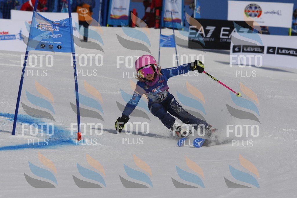 _W1G0262 | holidayphoto