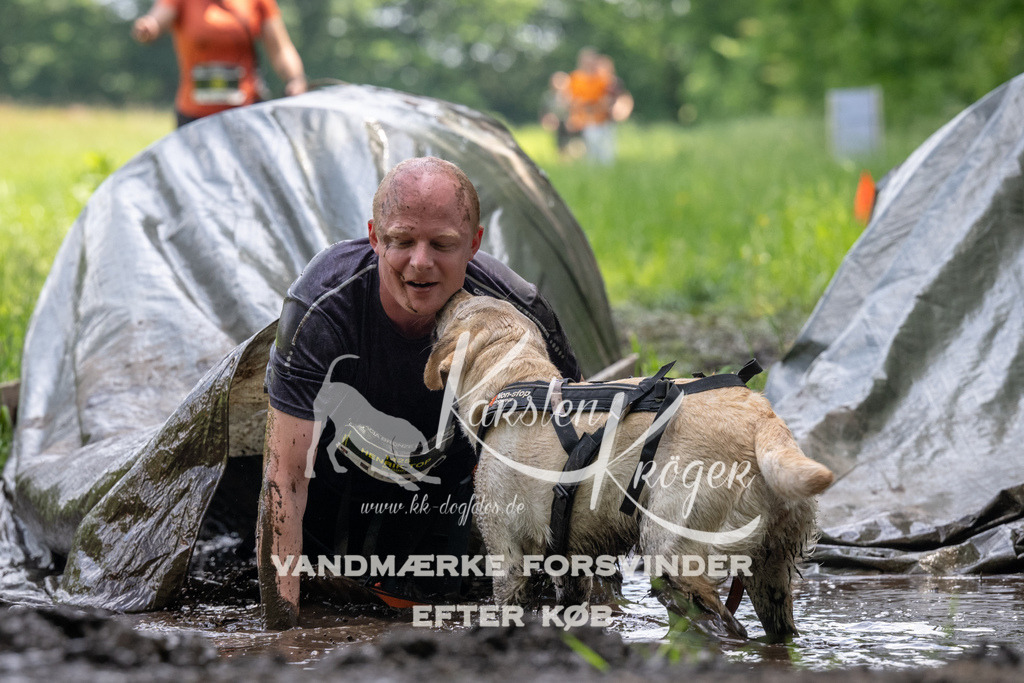 1211_ZZ91572 | kk-dogfotos