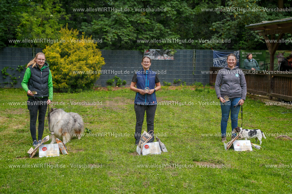 @allesWIRTHgut_Tierfotografie - www.allesWIRTHgut.de - 114630-7R508515 | Professionelle Tierfotografie in Mönchengladbach von Daniel Wirth (allesWIRTHgut). Liebevolle & natürliche Bilder von Hunden & Katzen für unvergessliche Erinnerungen.
