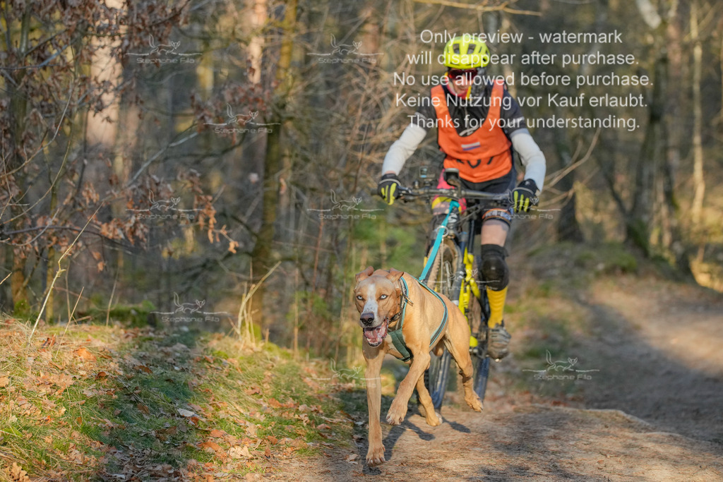 Sa_Bike-405 | stephaniefillaphotographie - Realisiert mit Pictrs.com