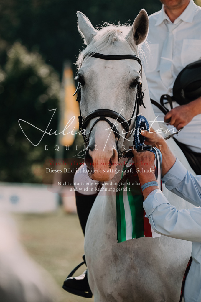 DSC_4918 | Pferde- und Turnierfotografie in Westsachsen. Pferdeportraits, Auftragszeichnungen und intuitive Kunst.