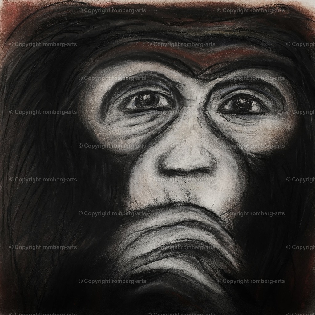 L1020097 (2) | romberg-arts, romberg-arts.de, www.romberg-arts.de, Foto_Online_Shop, Julia Fuhrmann, Köln, Fotos, Fotografie, Fotokunst, Kunstdrucke, Naturfotos, Aktfotos, Nacktfotos, schwarz_weiß_Fotos, Blumenfotos, Blumen, Tiere, Beton, Korrosion, Lächeln, Drucke